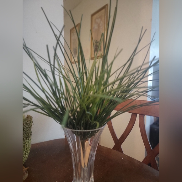 Bear Grass Bush 23". each - Picture 5 of 6